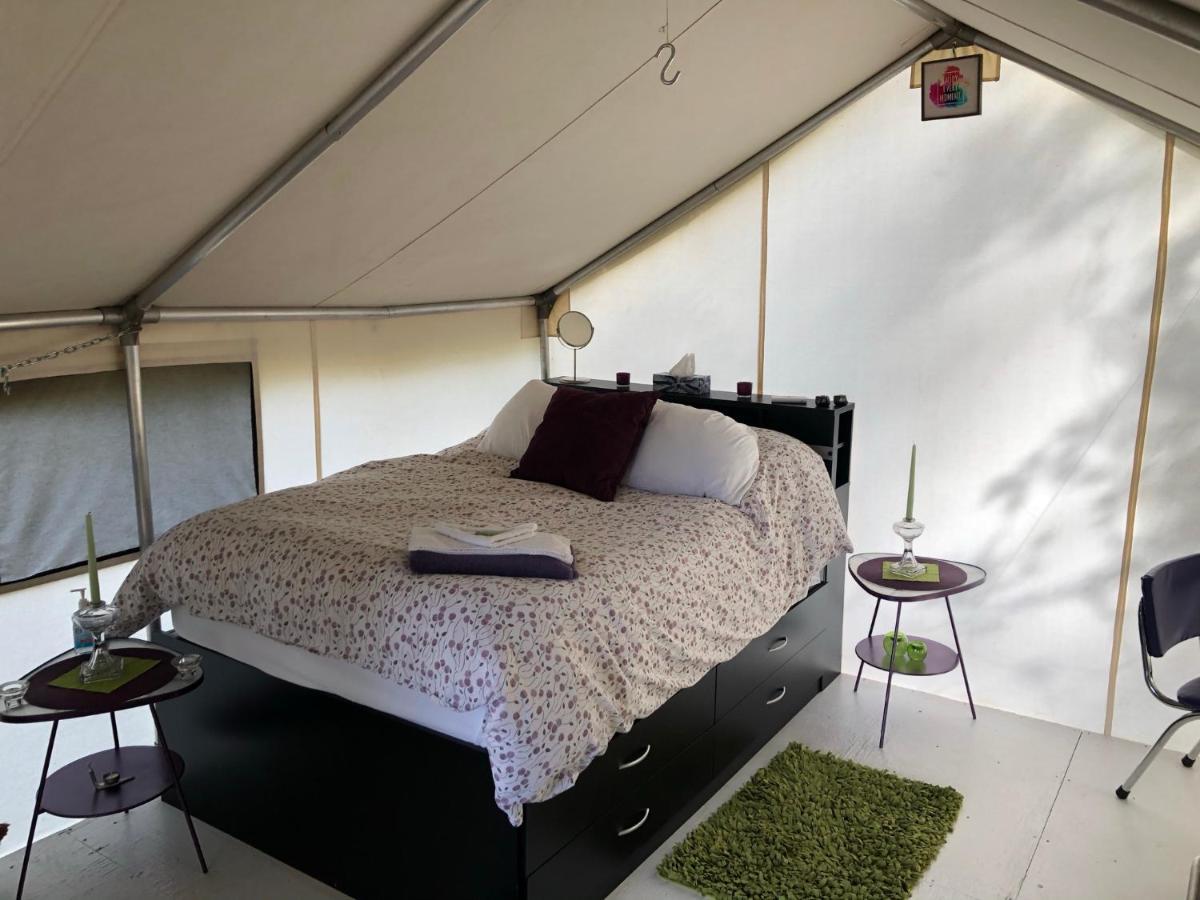Hotel Vines And Puppies Glamping Hideaway Jade City Zewnętrze zdjęcie